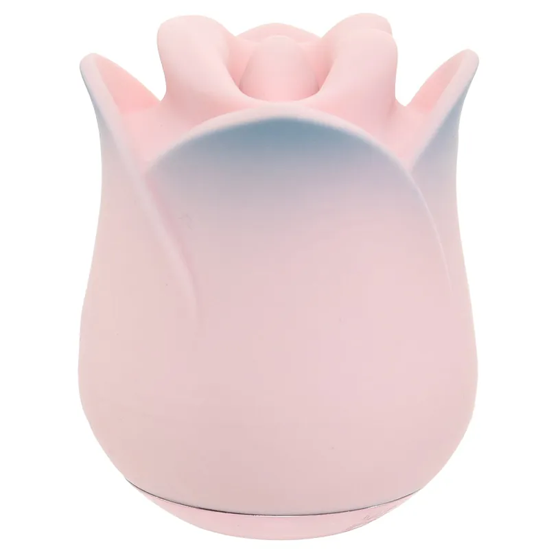 BlushKissingRoseVibe Buy Direct