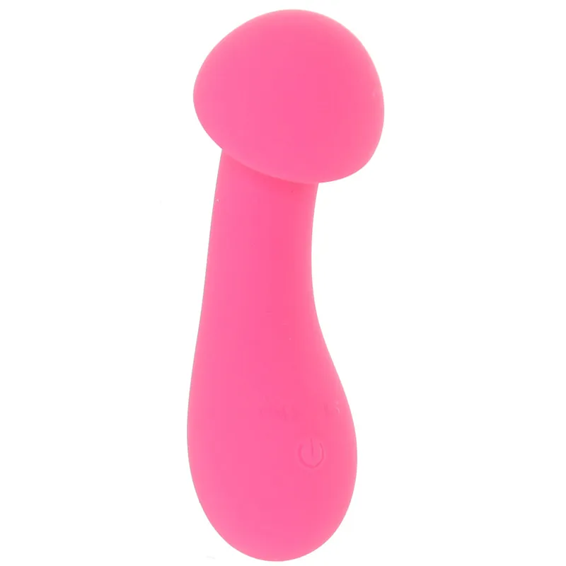 Brand New PixiesExciterVibe