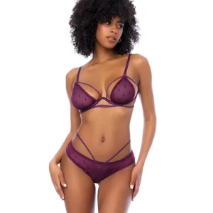 Budget Dot Mesh Underwire Top with Open Back Panty - Wine