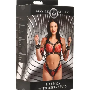 Factory Price Master Series Harness with Restraints - Black