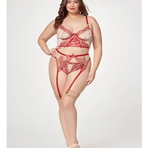 Sheer Stretch Mesh With floral Contrast Embroidery Bustier, Garter Belt & Thong Red/nude Buy Online