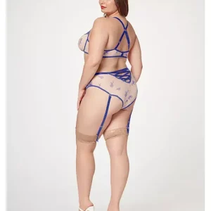 Special Offer SheerEleganceTwoPieceBraSetStm-11484x-blue-1x/2x