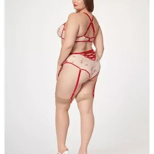 SheerEleganceTwoPieceBraSetStm-11484x-red-3x/4x Shop Now