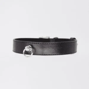 Budget Love In Leather Tipped Bondage Collar & Lead Set