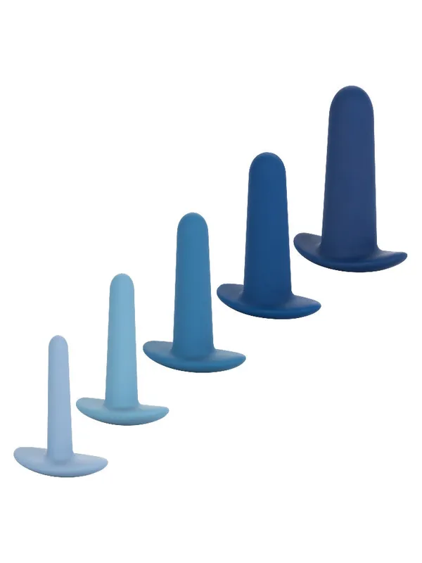 Buy Today They-ology Wearable Anal Training Set