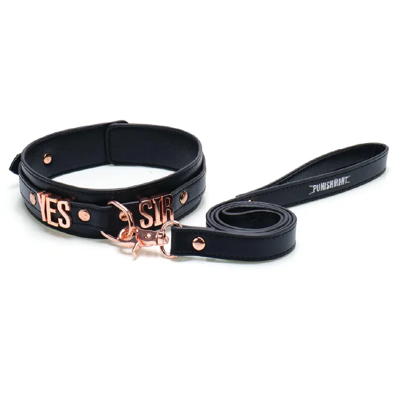 Punishment Rose Gold Yes Sir Collar & Leash Affordable